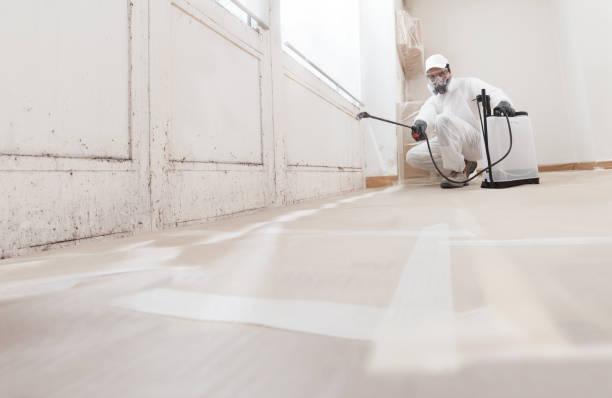 24/7 Emergency Mold Remediation experts in Leavenworth, WA