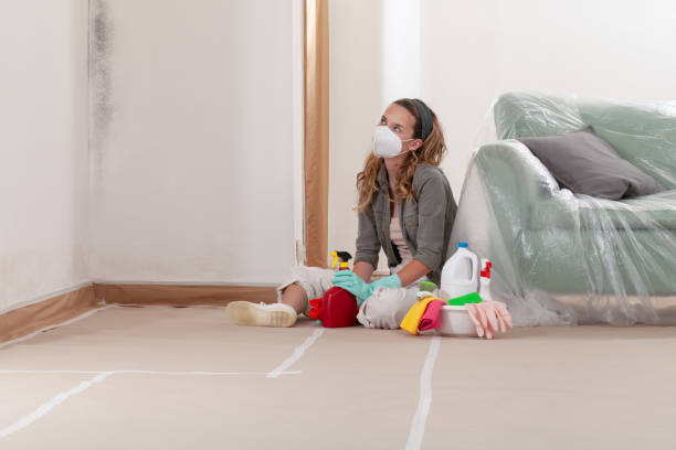 Reliable Mold Remediation contractor in Leavenworth, WA by 24 Hour Mold Removal