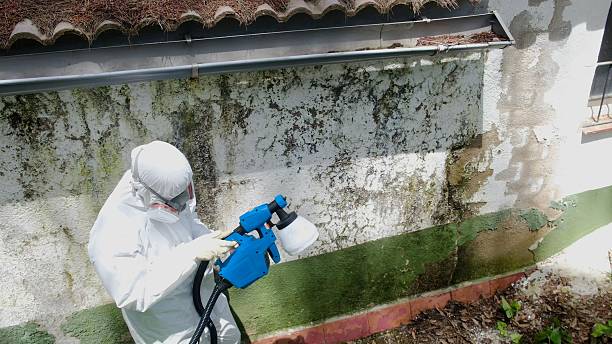 Top rated local Mold Remediation specialists in Leavenworth, WA